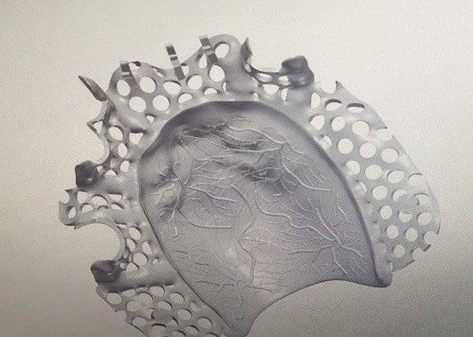 چارچوب فلزی پروتز پروتز جزئی آلیاژ تیتانیوم CAD